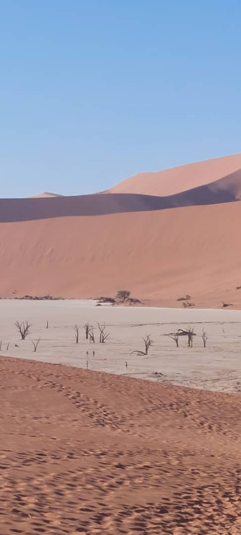 Path leading through towering dunes at Sossusvlei Namibia